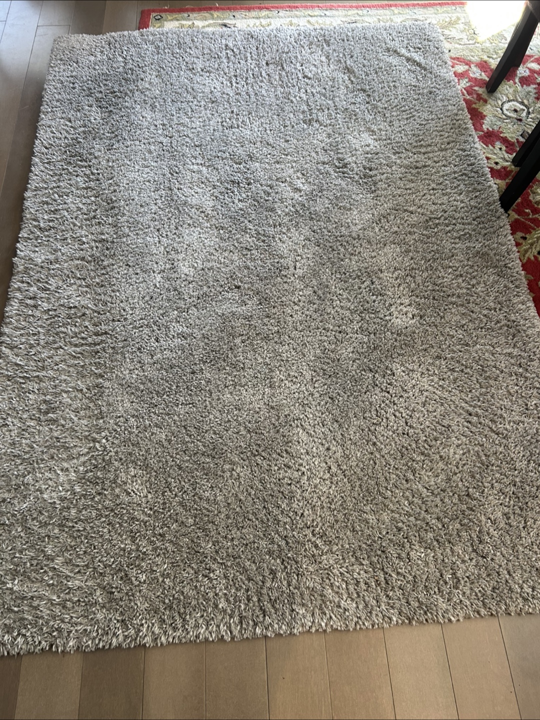 CAM Shag Living Wellington Rug - Super Soft Shag - photo 3