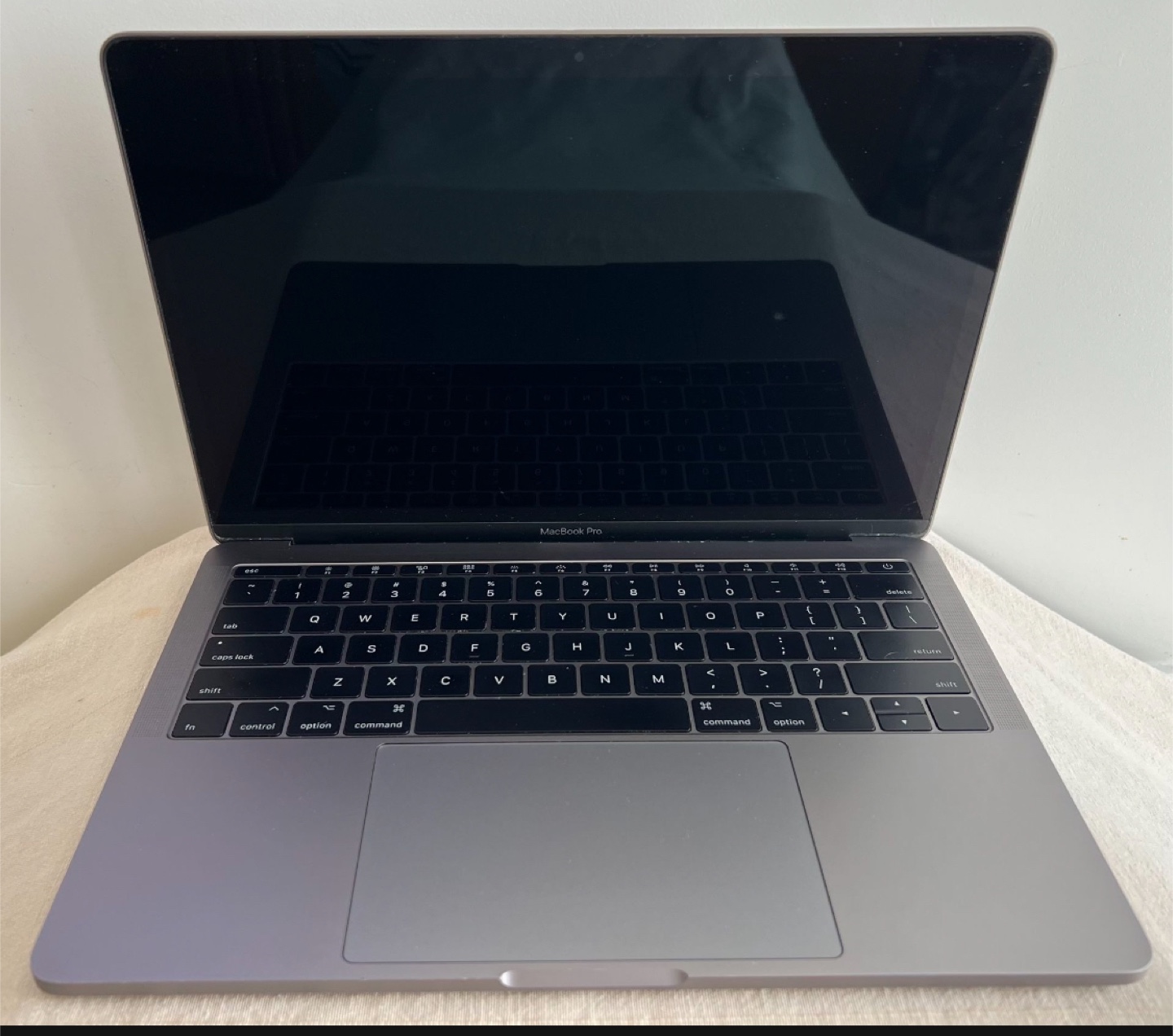 2017 MacBook Pro 13-inch, Space Gray, 8GB RAM, 256GB SSD