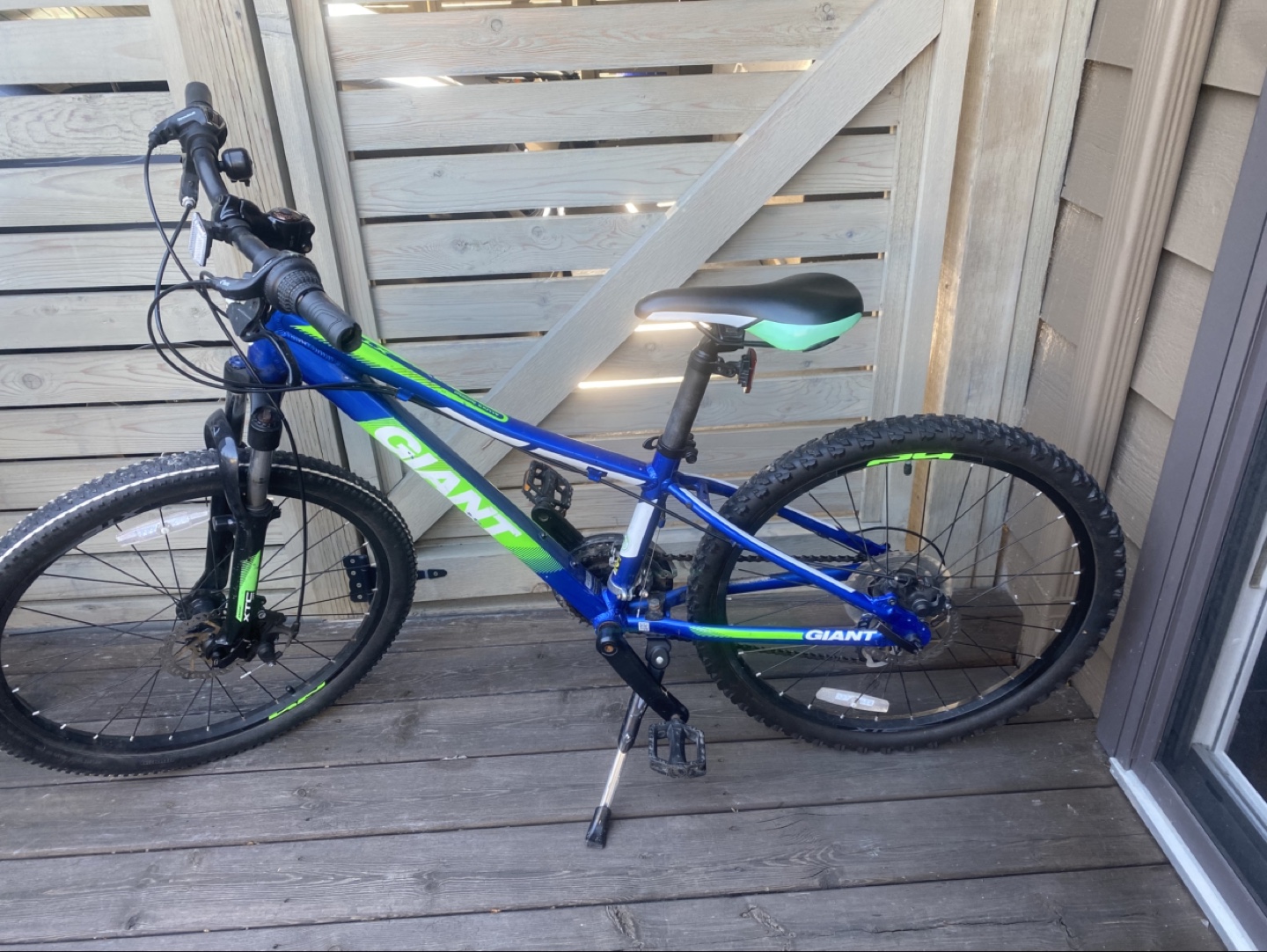 Giant Young Adult Bicycle 24”
