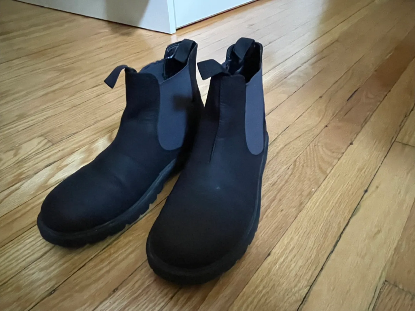 Geox Boy Chelsea Boots