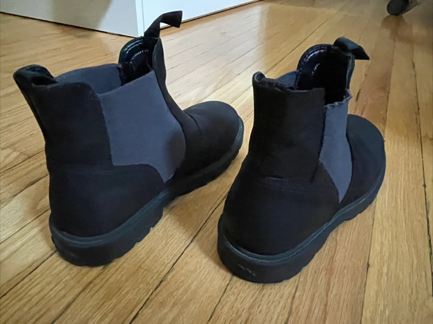 Geox Boy Chelsea Boots image indicator(2)