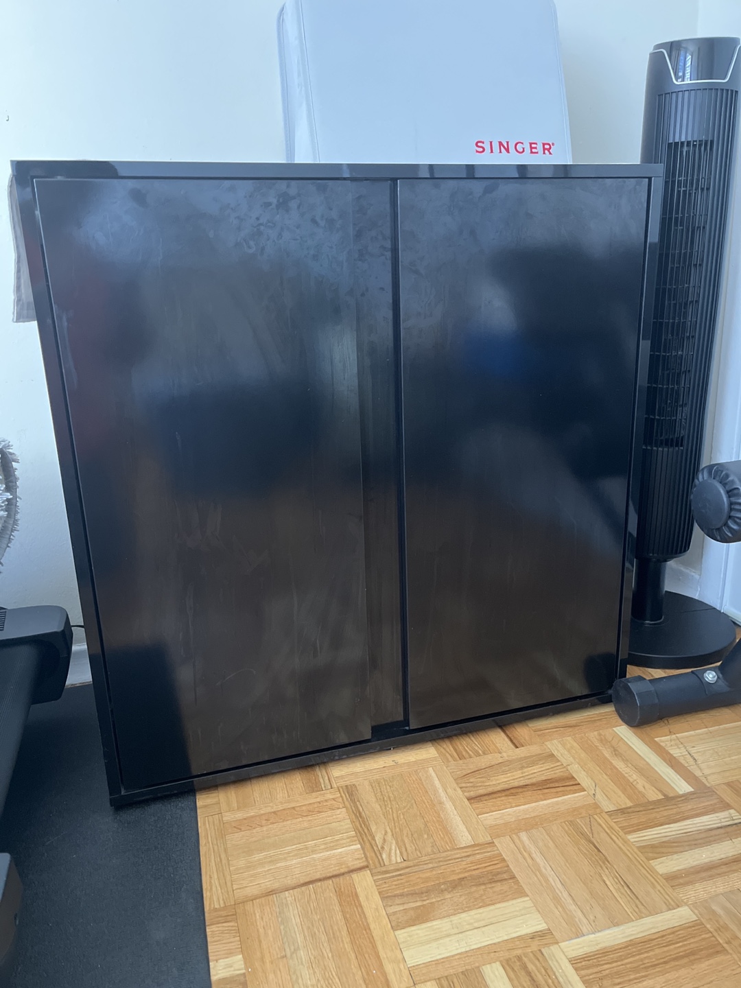 Black Cabinet with Two Doors