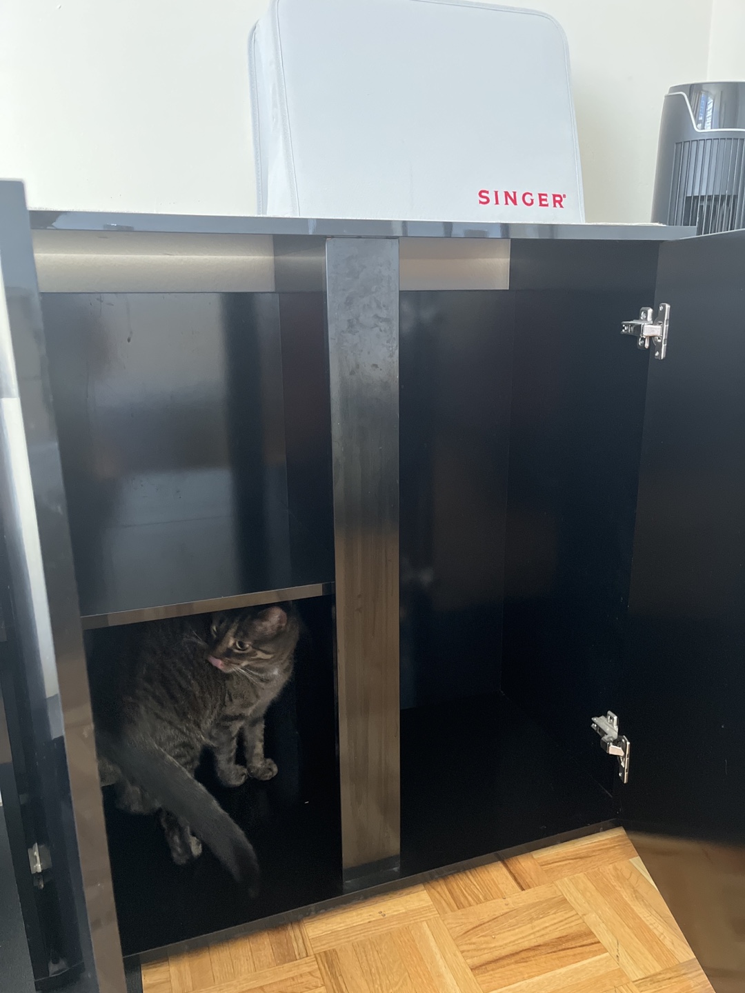 Black Cabinet with Two Doors - photo 2