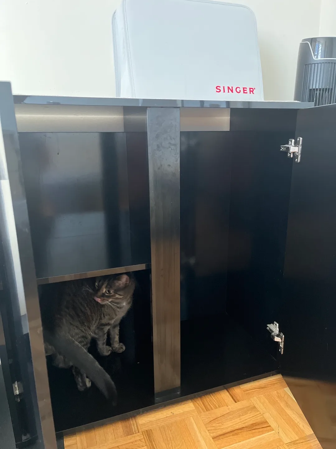 Black Cabinet with Two Doors image indicator(2)