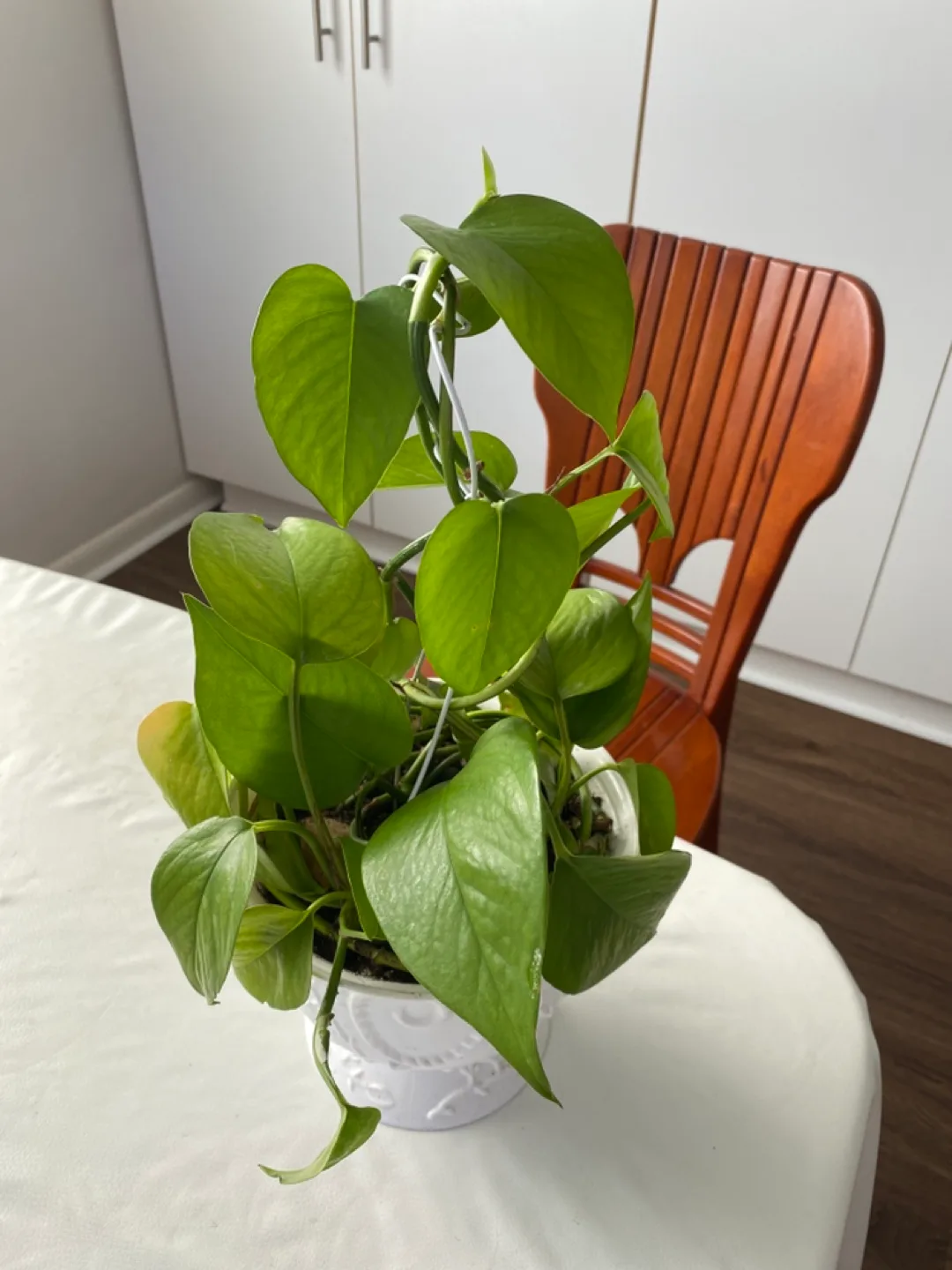 Potholes image indicator(2)