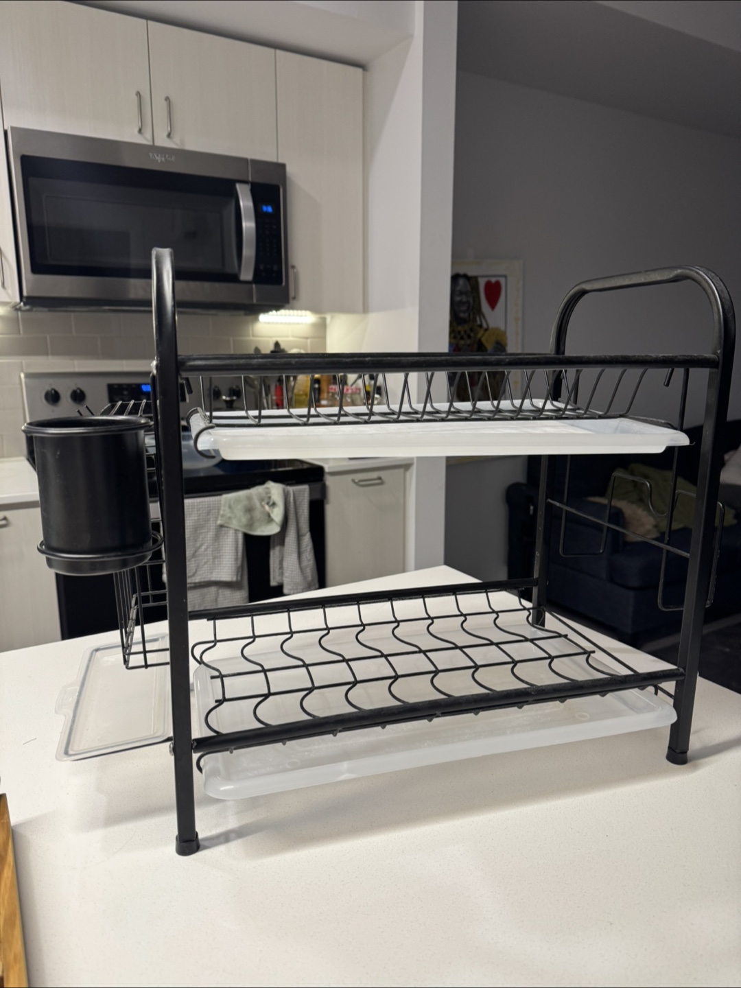 Black Two-Tier Dish Drying Rack with Cutlery Holder