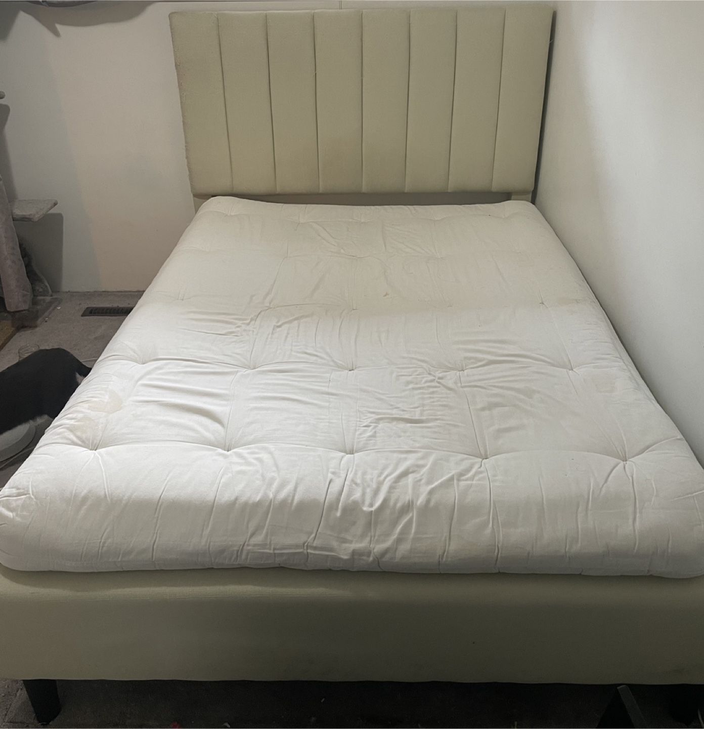 Double Futon with fabric Bed Frame