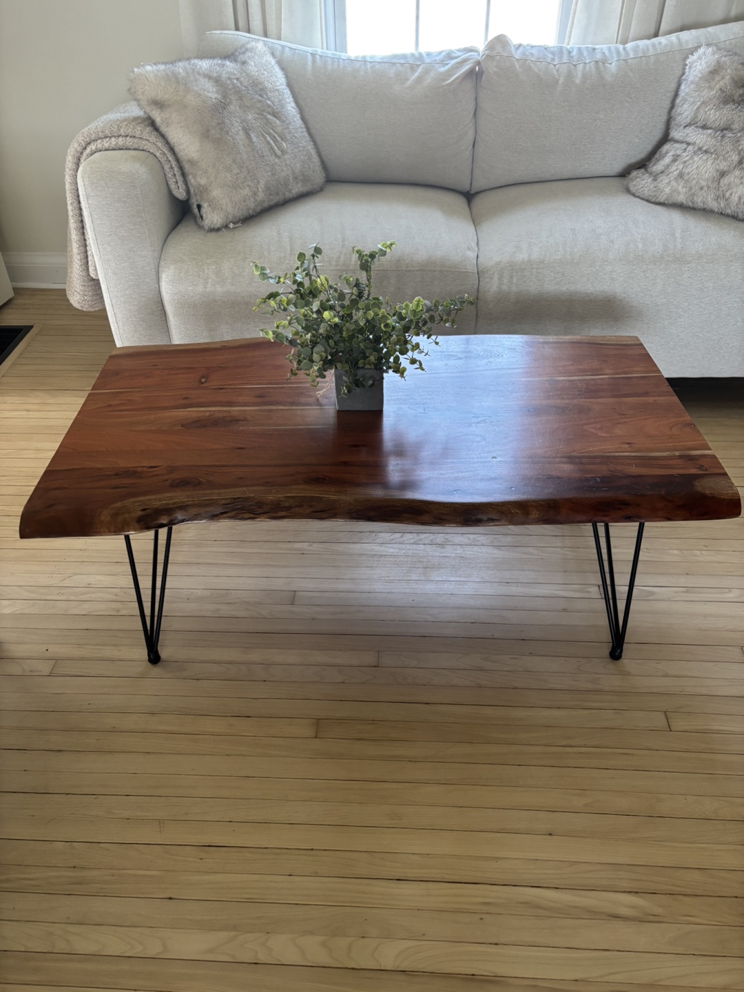 Live Edge Coffee Table with Black Hairpin Legs - photo 3