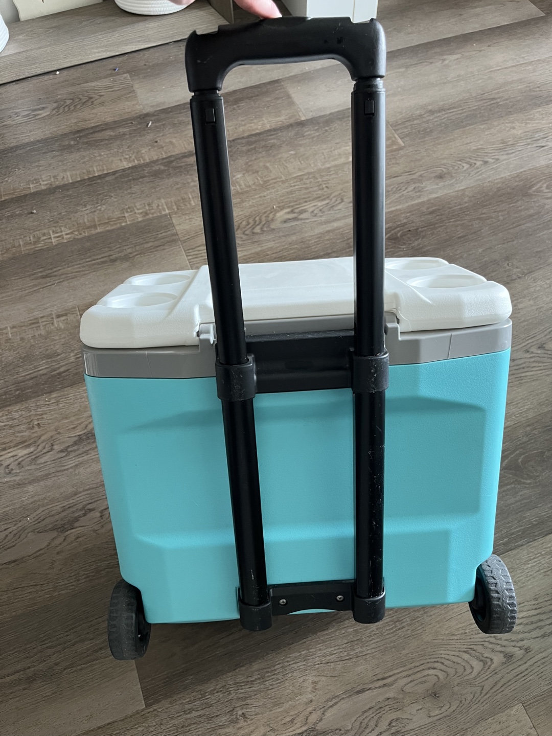 IGLOO 28QT Roller Cooler - Teal - photo 2