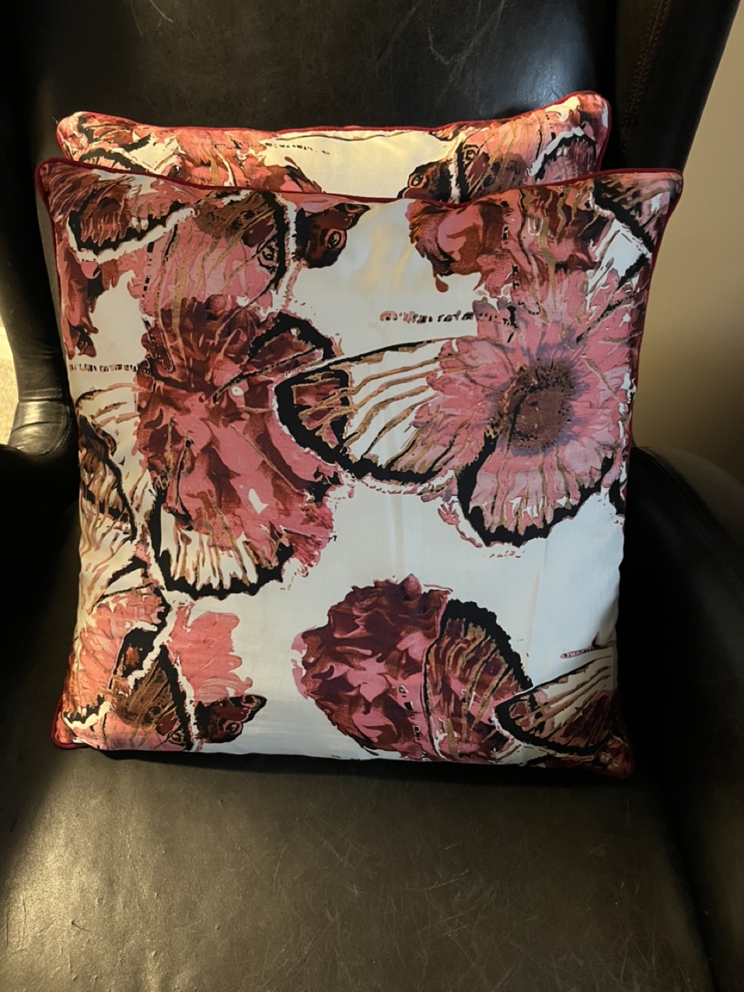 Pair of Decorative Throw Pillows