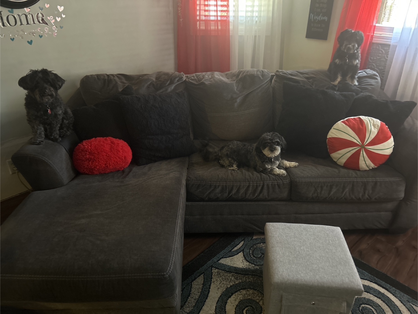 💚 Gray Sectional Sofa L-shape reversible