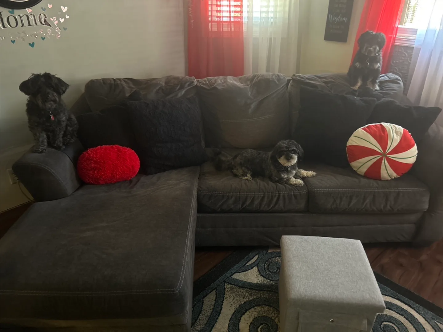 💚 Gray Sectional Sofa L-shape reversible thumbnail