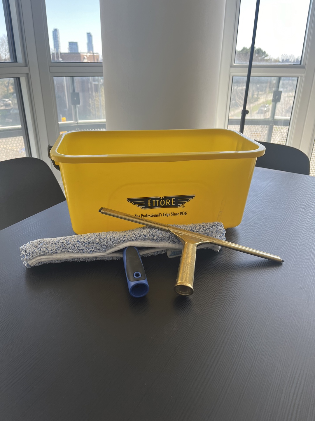 Ettore Window Cleaning Kit