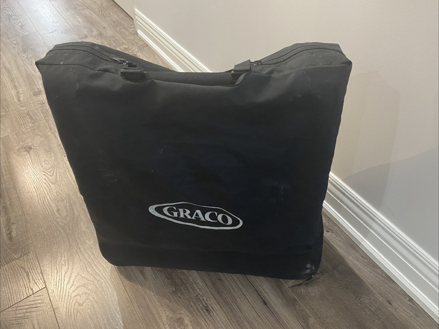 Graco Jetsetter Stroller Travel System
