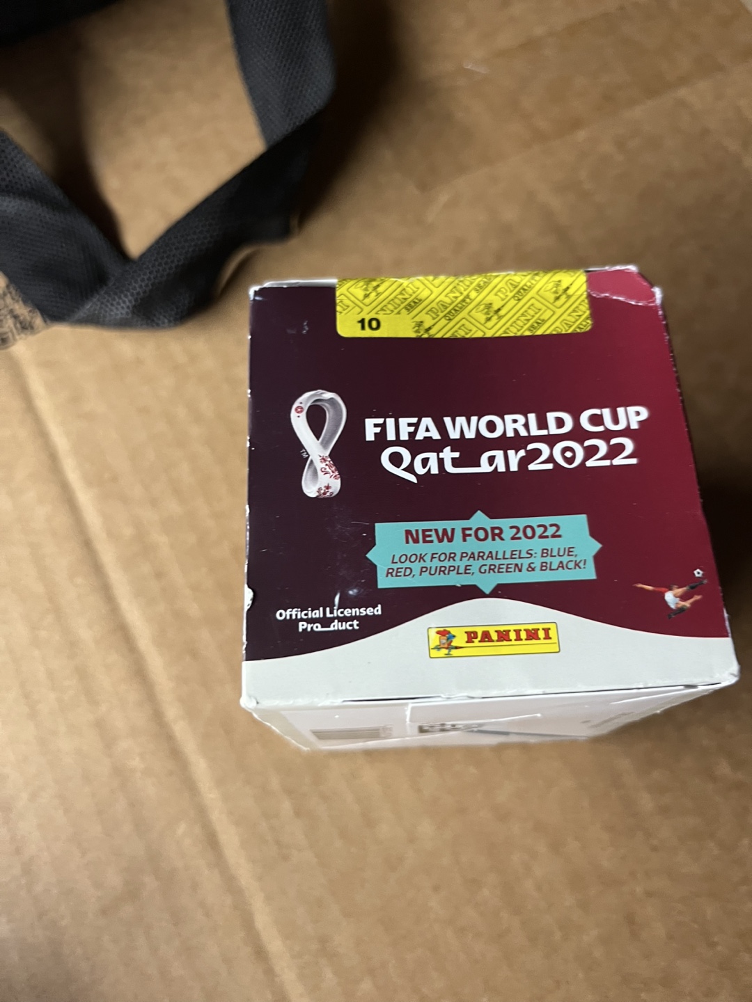 Panini FIFA World Cup Qatar 2022 Sticker Box
