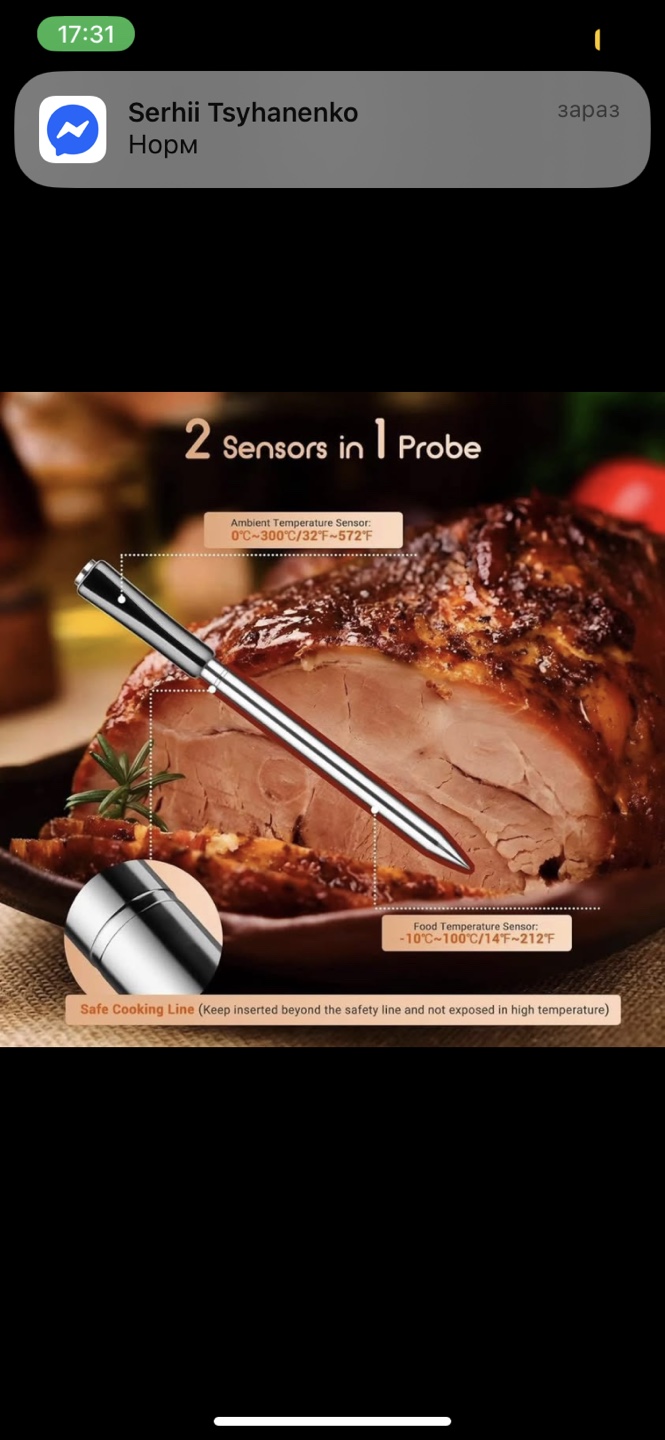 INKBIRD Smart Meat Thermometer - INT-11P-B - photo 3