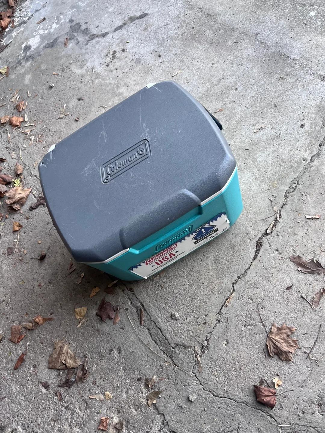 Coleman 16 Quart Cooler thumbnail