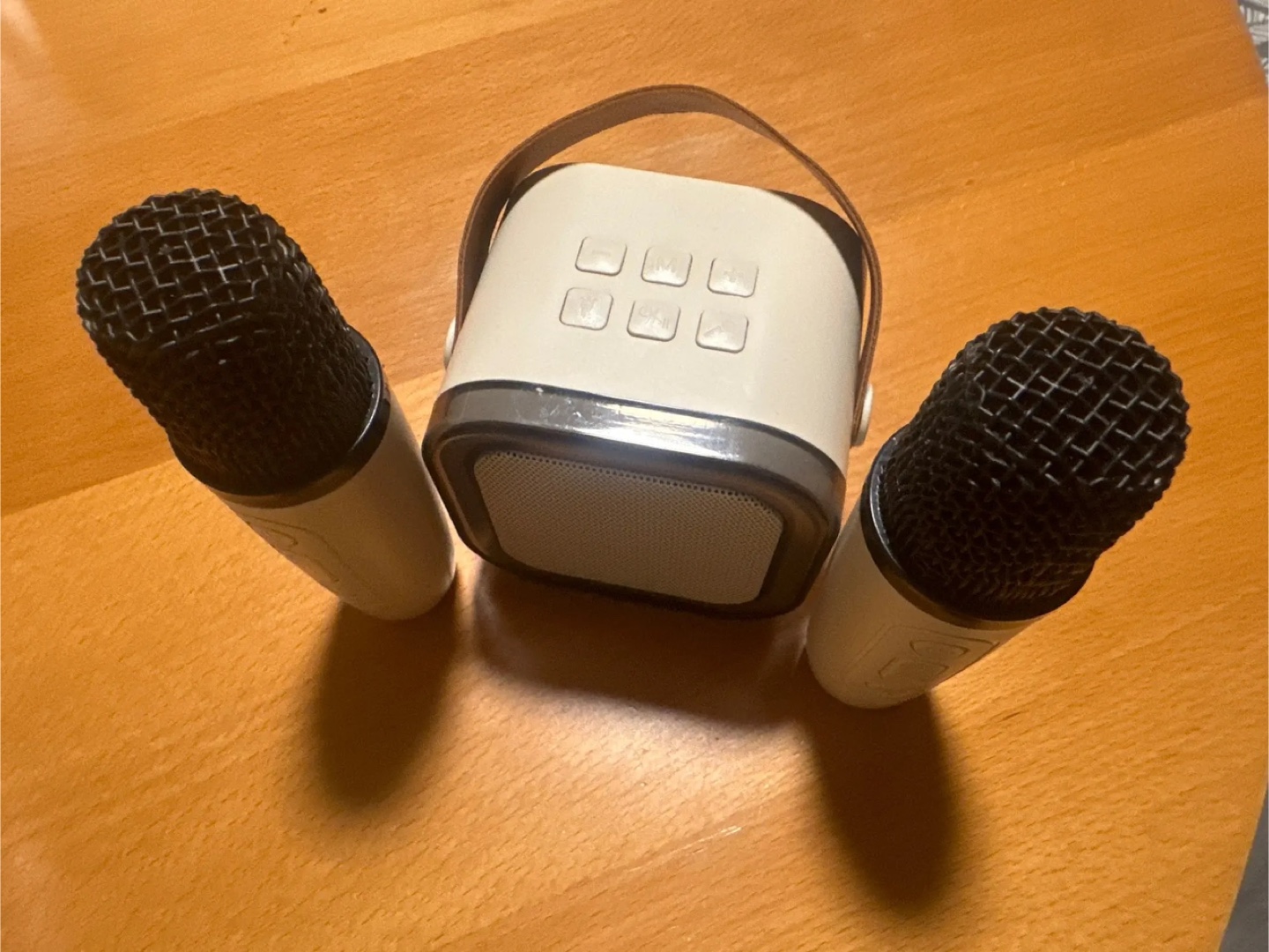 Portable Karaoke Machine with Two Wireless Microphones (BLUE)