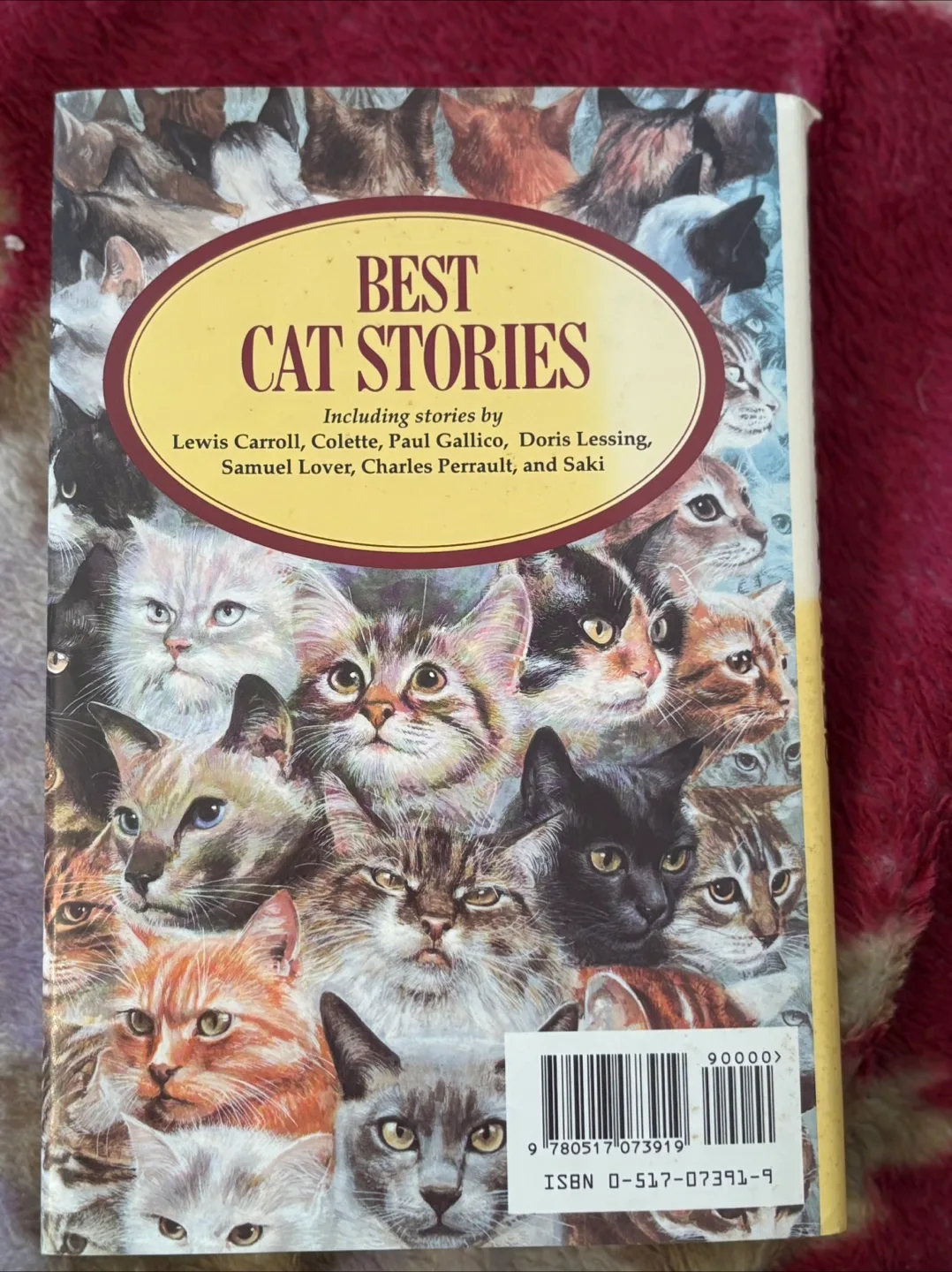 Best Cat Stories Book Anthology image indicator(2)