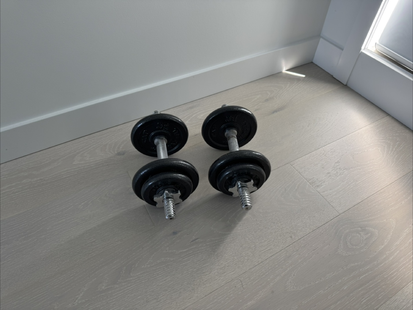 Pair of Adjustable Dumbbells