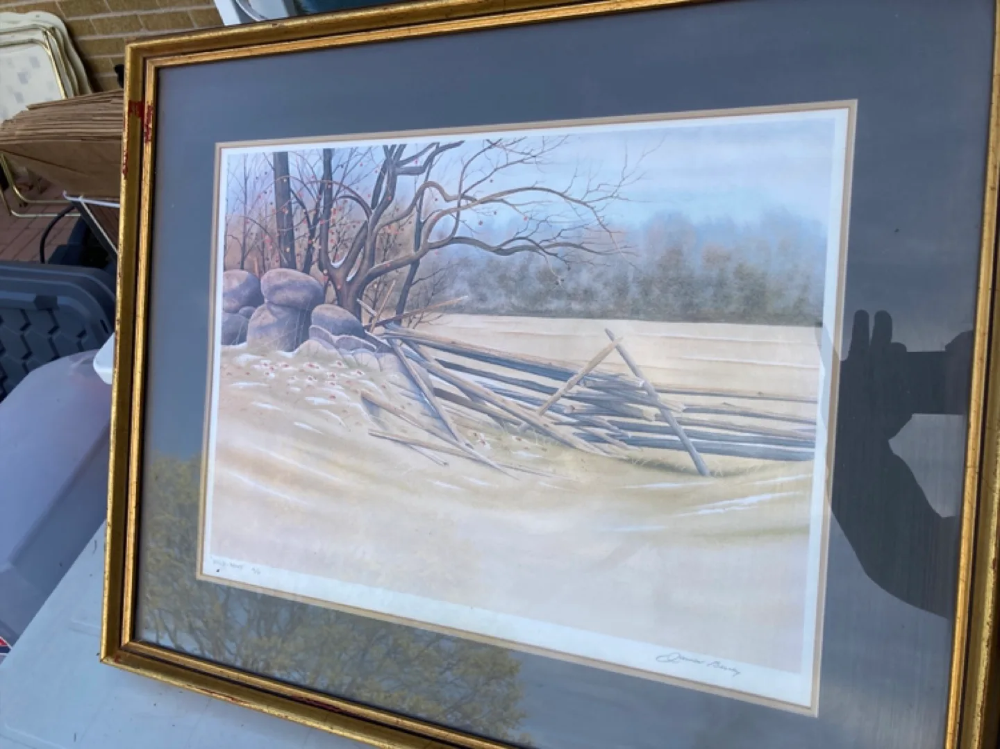Framed James Bessey Print - Wild Wood thumbnail