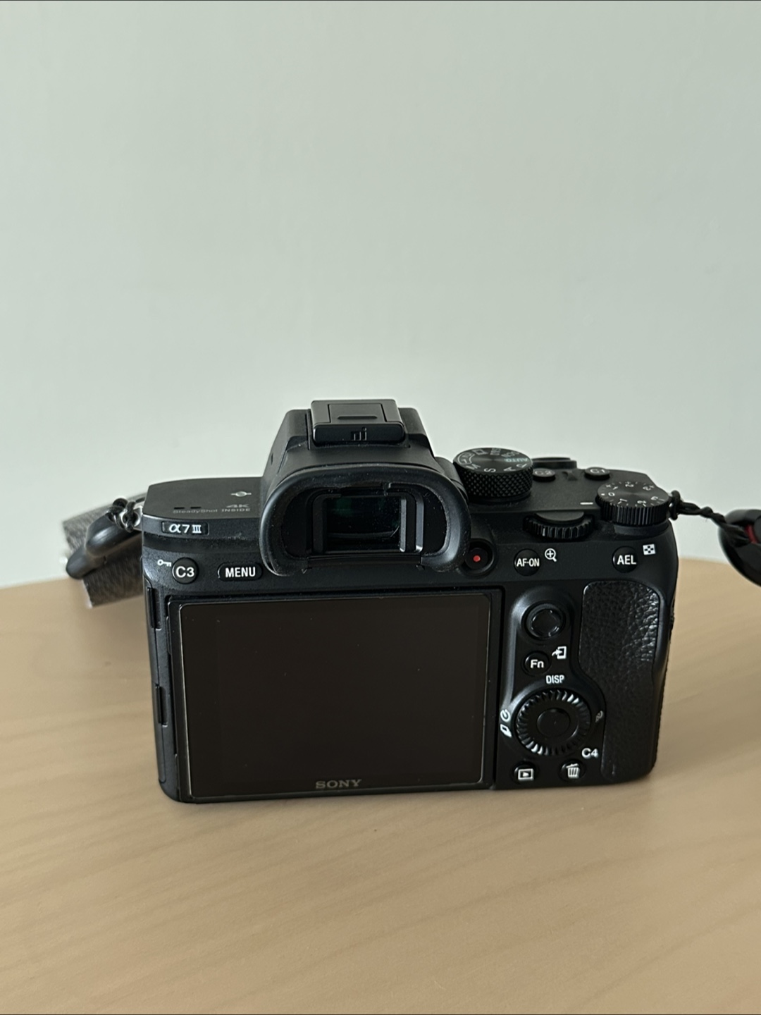 Sony Alpha 7 III Mirrorless Camera (body only) - photo 5