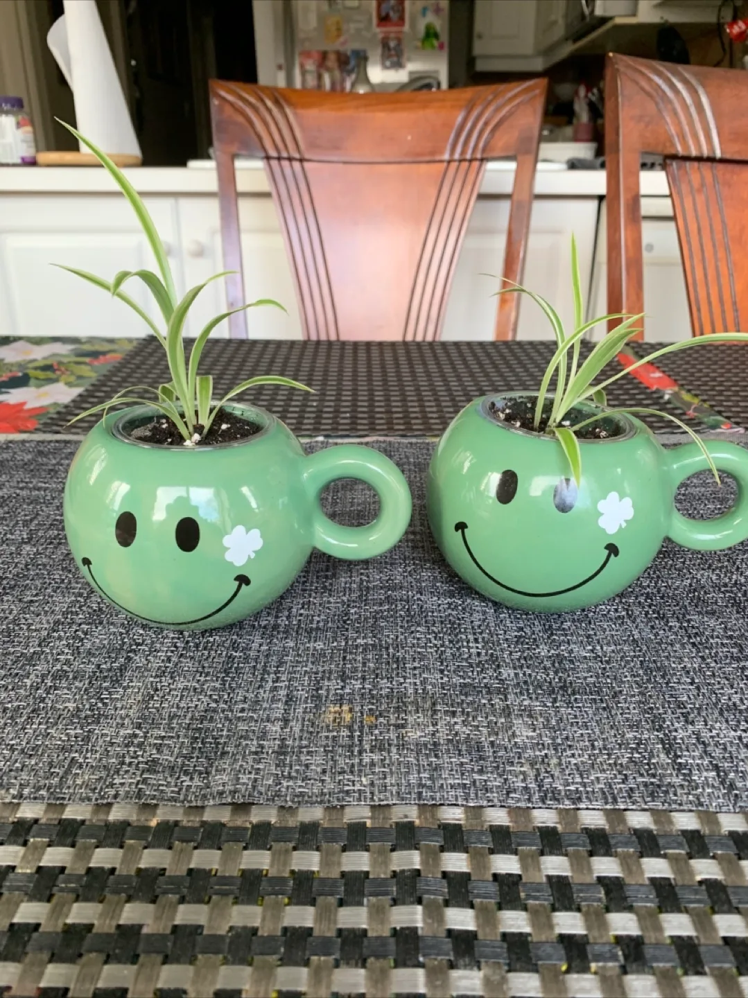 Spider Plant Set in Happy Face mug (Non-toxic) image indicator(4)