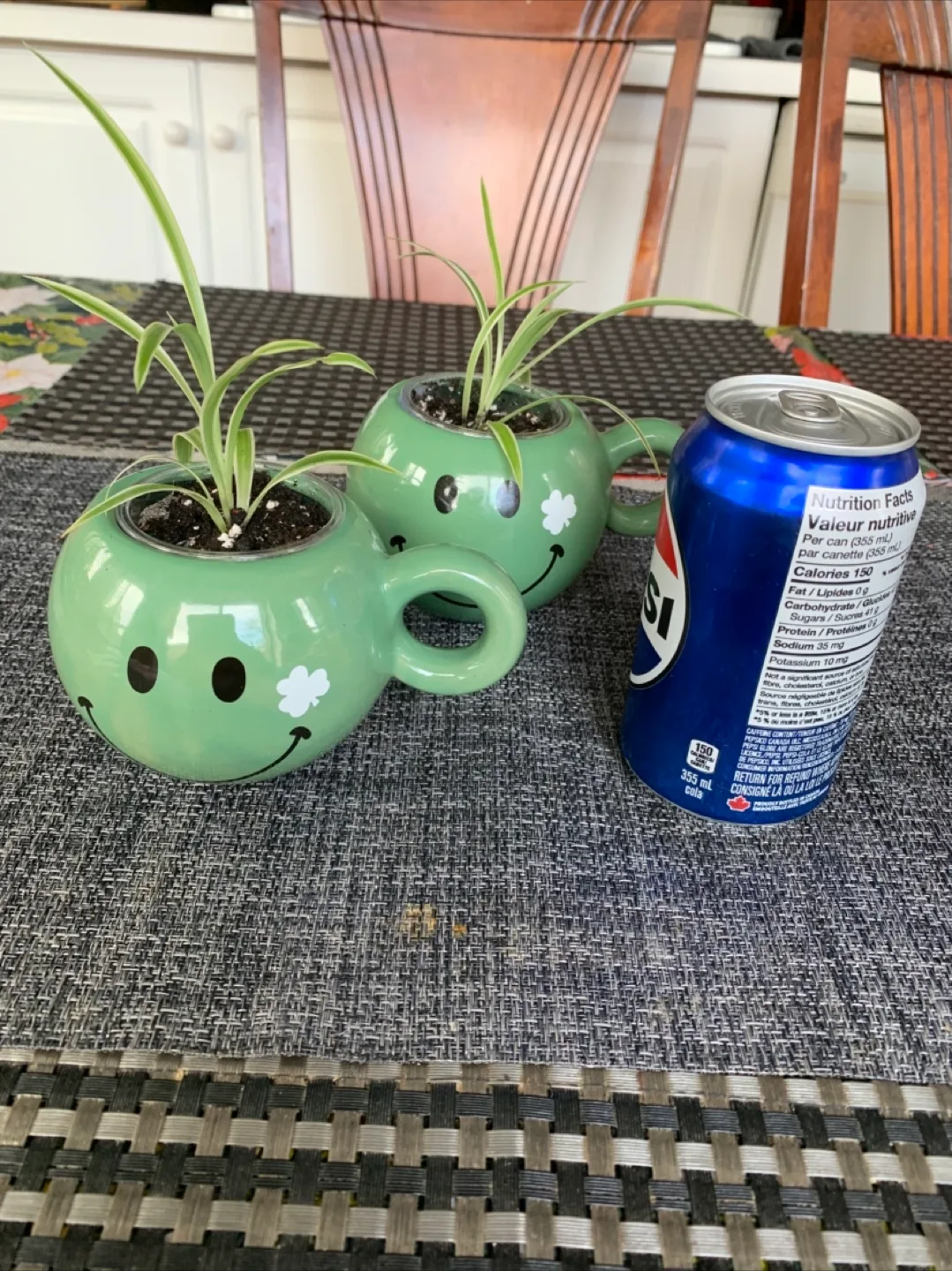 Spider Plant Set in Happy Face mug (Non-toxic) image indicator(5)