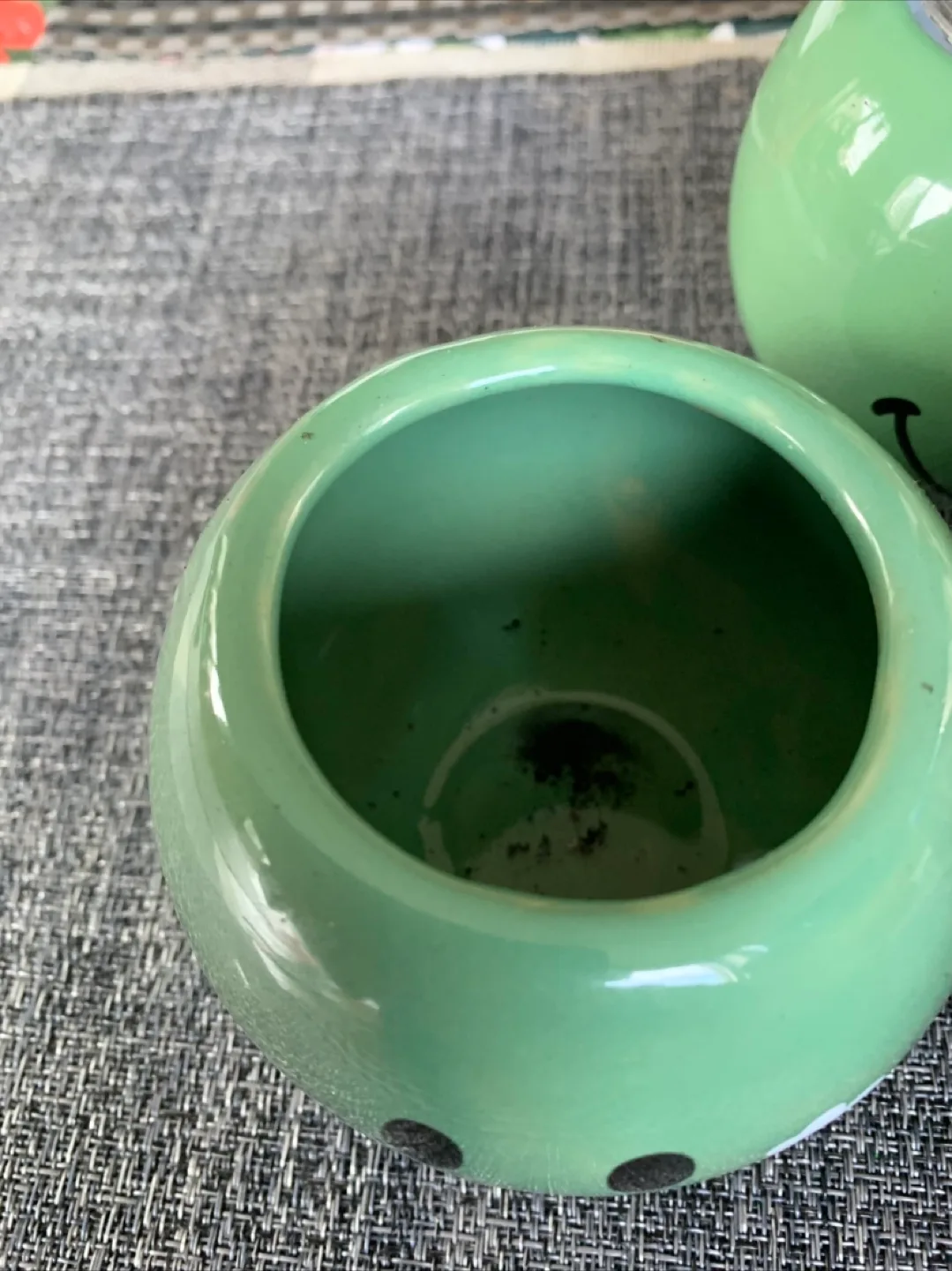 Spider Plant Set in Happy Face mug (Non-toxic) image indicator(7)