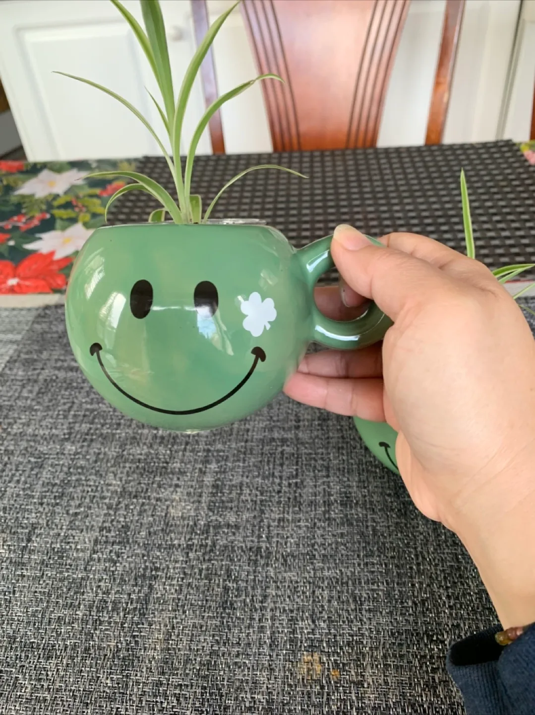 Spider Plant Set in Happy Face mug (Non-toxic) image indicator(3)