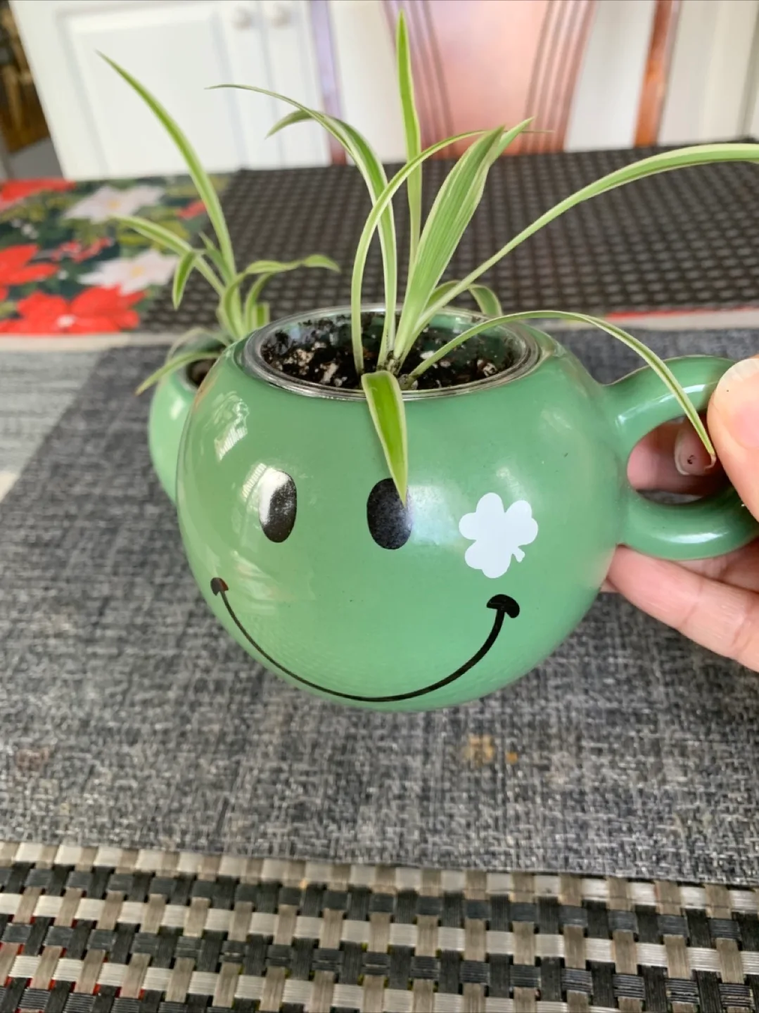 Spider Plant Set in Happy Face mug (Non-toxic) image indicator(2)