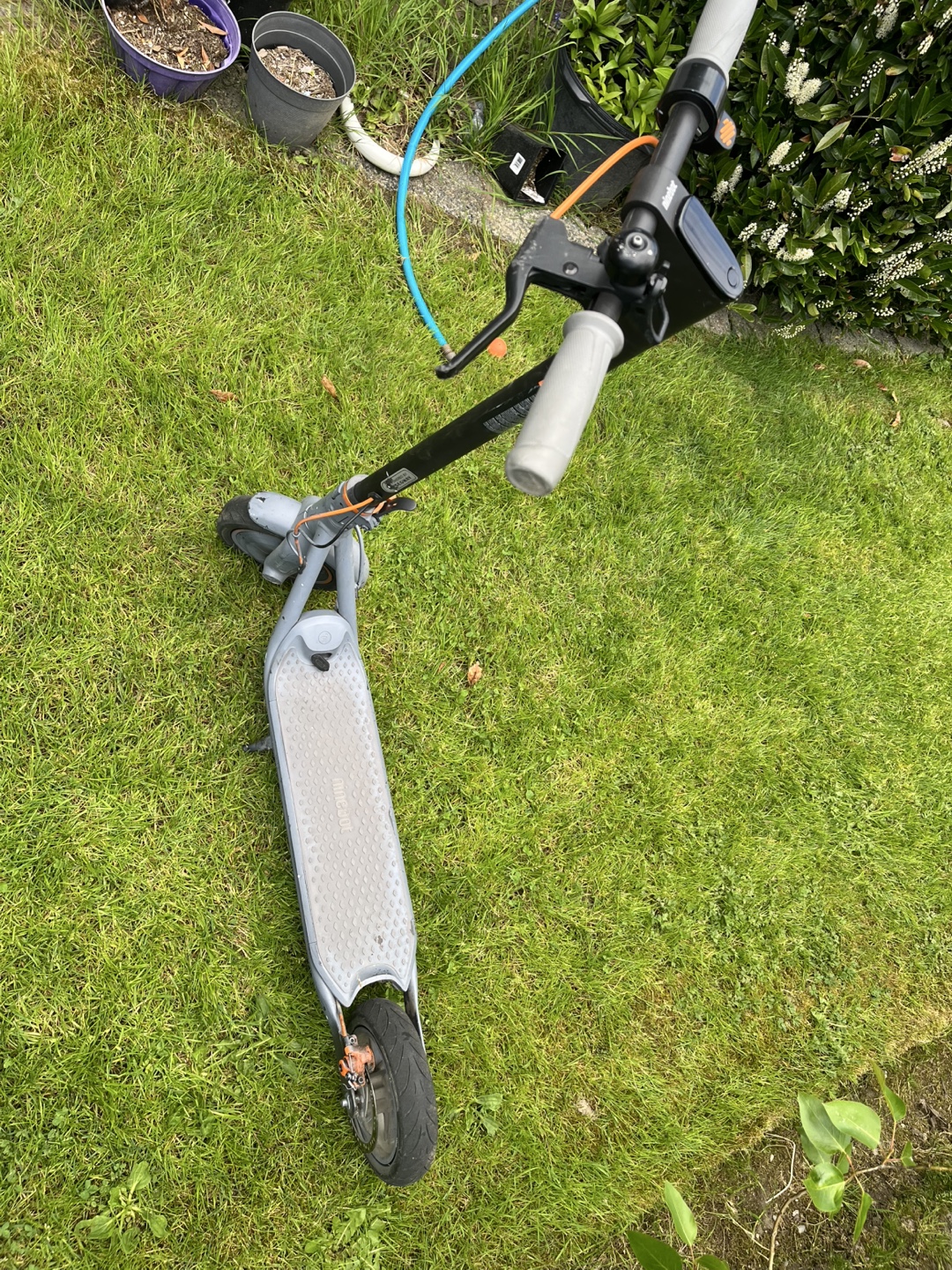 Ninebot Electric Scooter