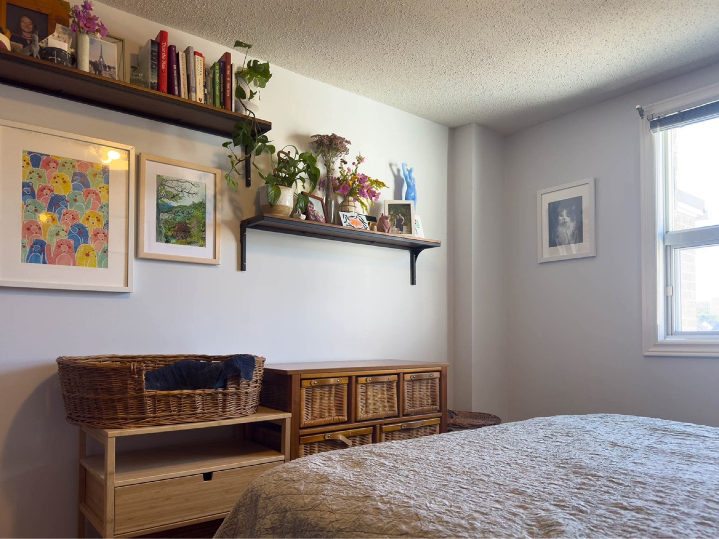 Pair of IKEA Fjallbo Wall Shelves