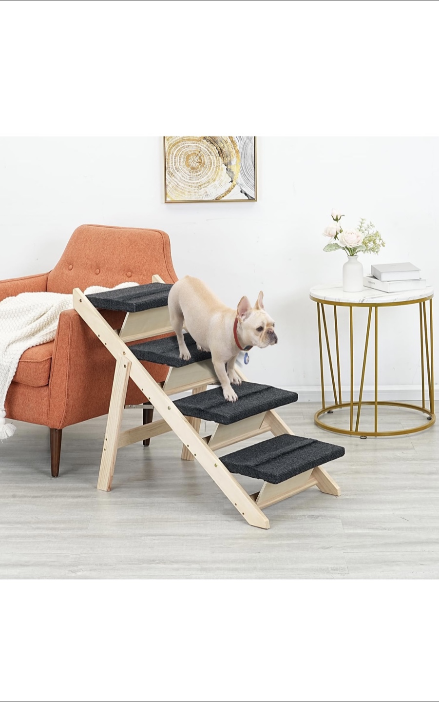 Pet Steps/Ramp - 2-in-1 Convertible Design