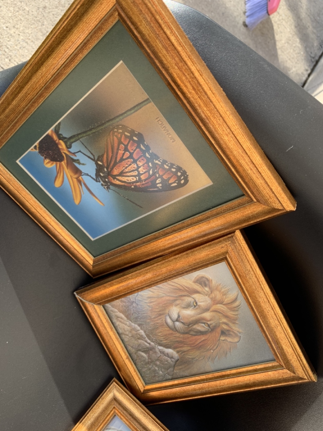 Set of 4 Framed Prints - Nature & Wildlife - photo 2