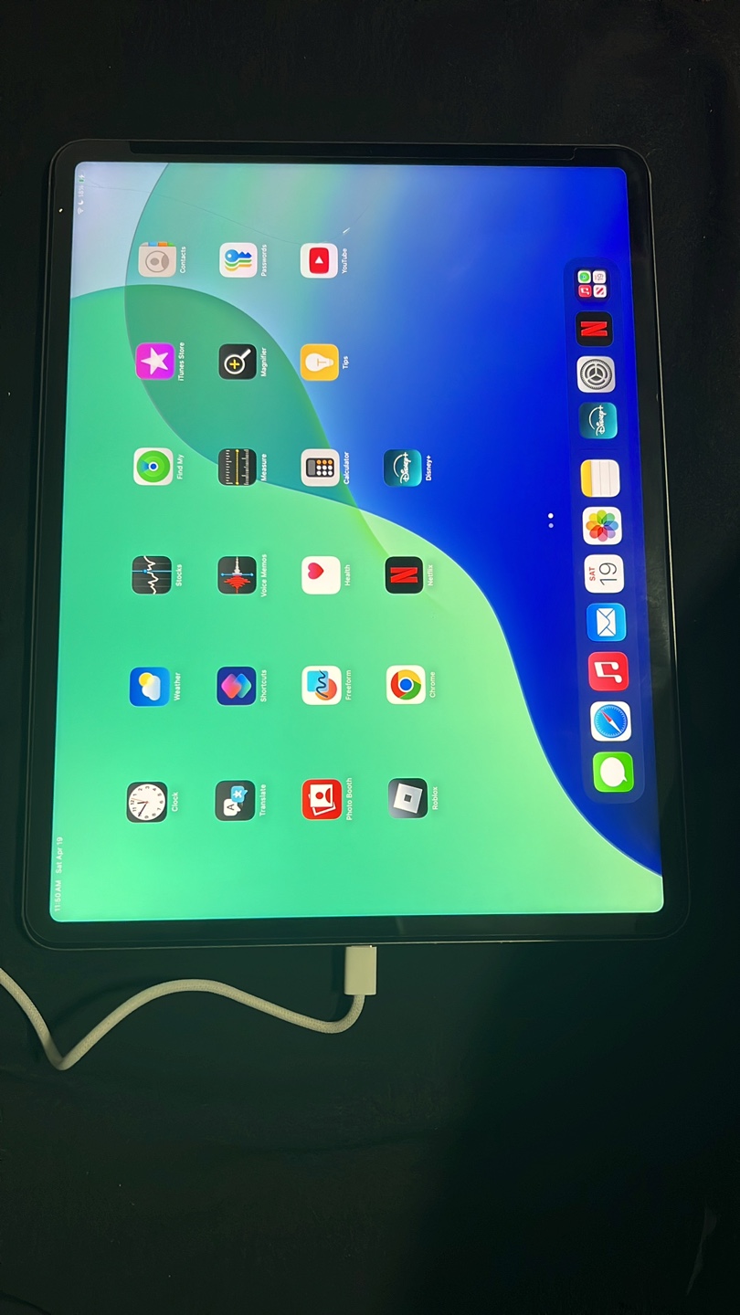 iPad Pro 12.9 inch - Space Gray