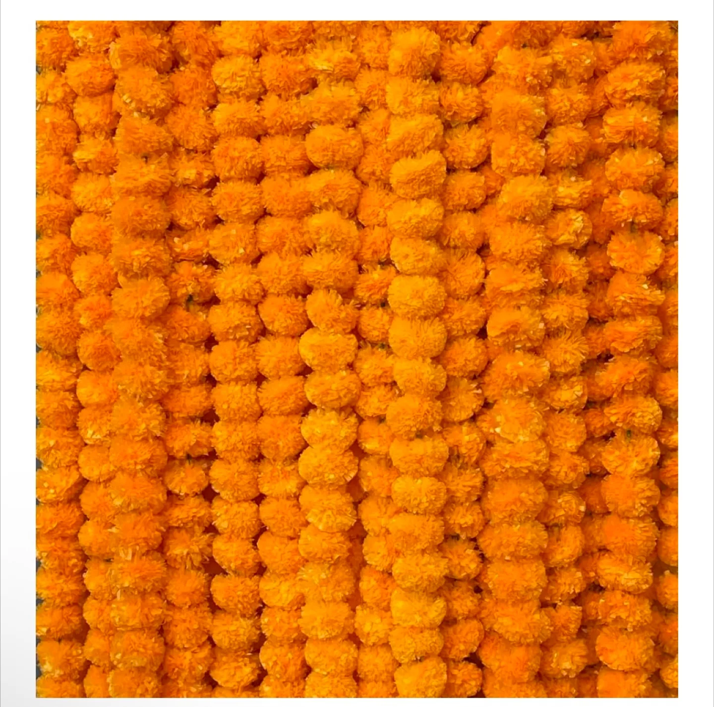 Rent- marigold garland thumbnail