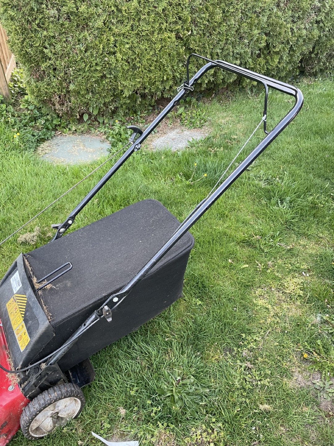 Free Lawn Mower - photo 3