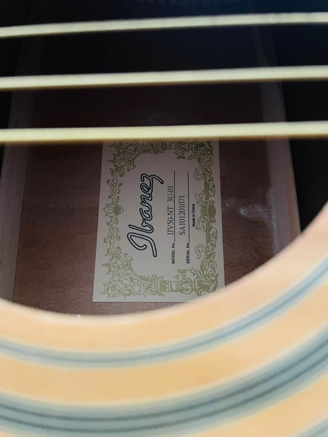 Ibanez IVYSANT IUA101 Acoustic Guitar w/ Case image indicator(3)