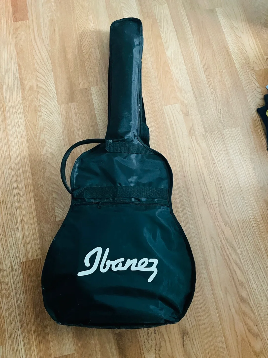 Ibanez IVYSANT IUA101 Acoustic Guitar w/ Case image indicator(2)
