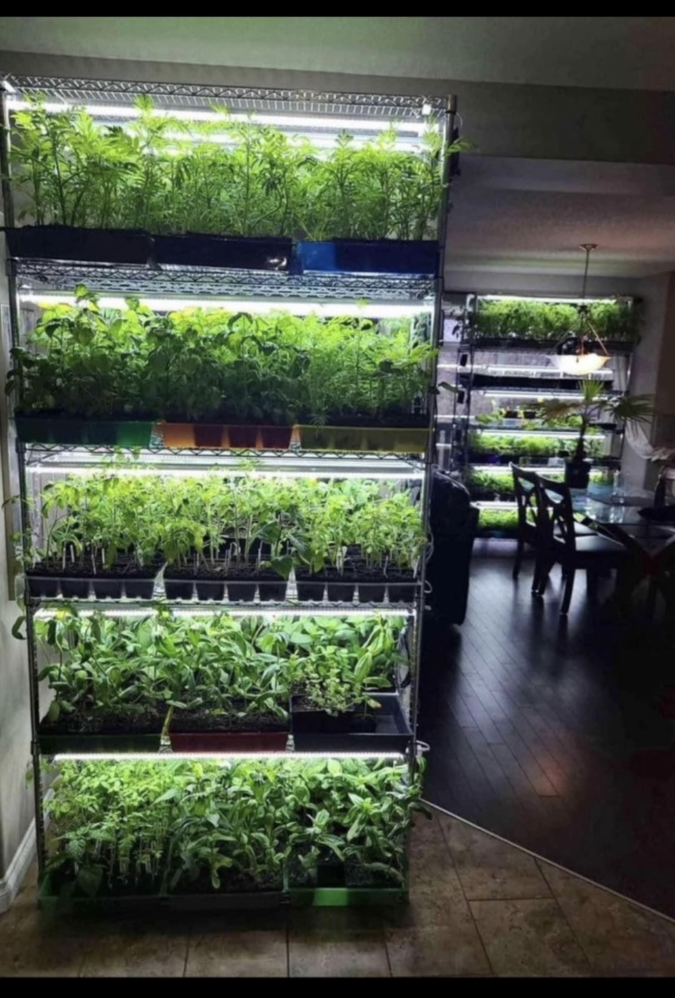 New LED growing lights 48 inches (4 foot)  near Chinook Mall