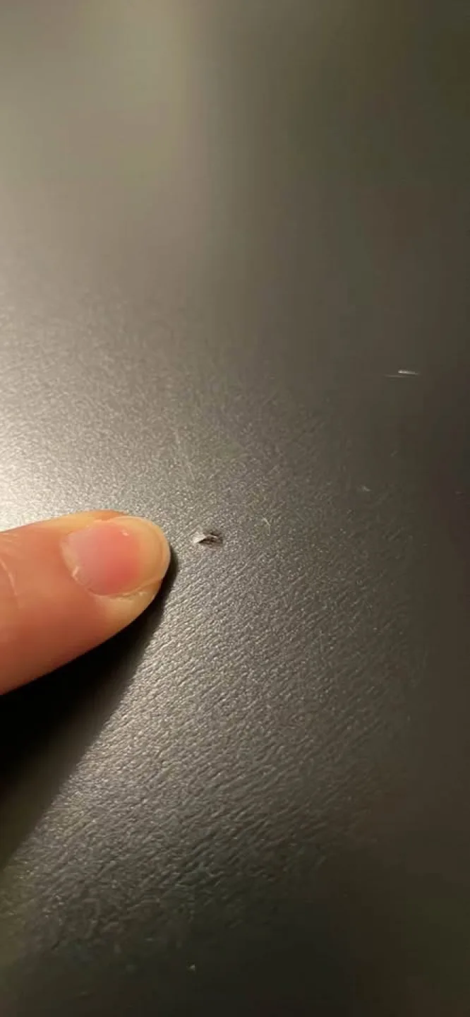 Black IKEA Lack Side Table image indicator(4)