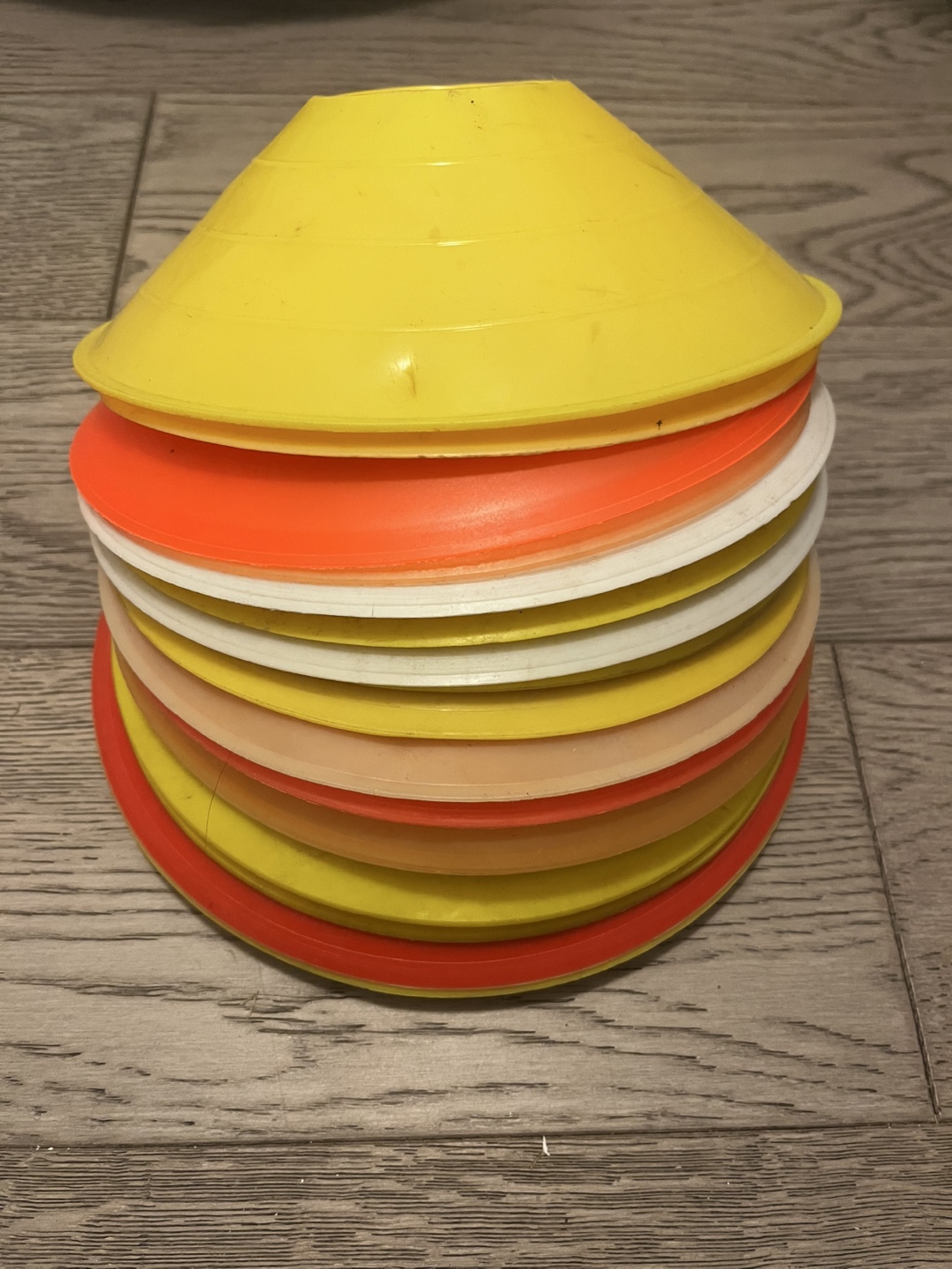 22 Disc Cones - Great for Training!
