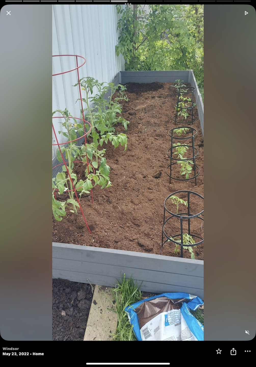 Two Raised Garden Beds - photo 3