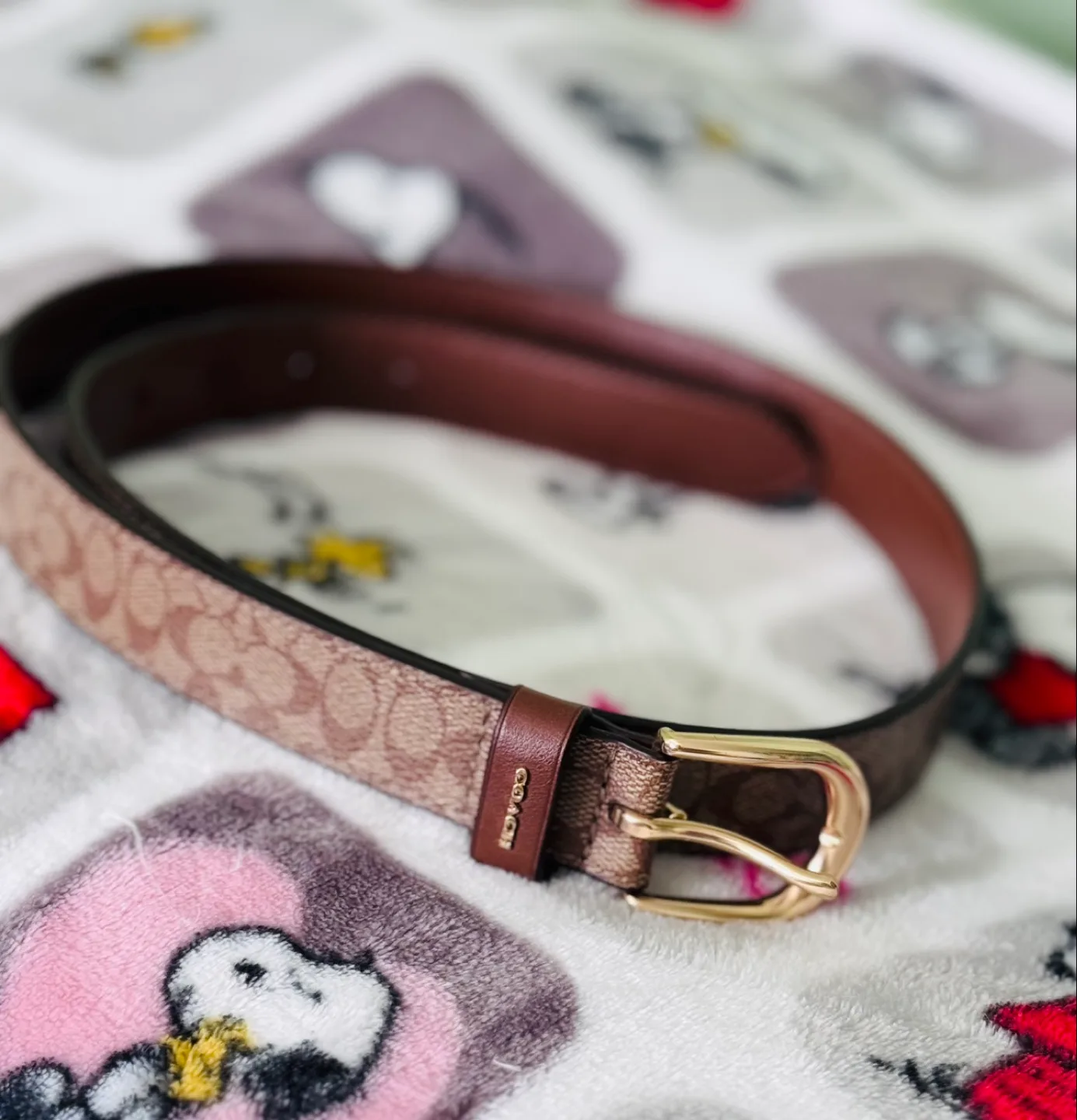 Coach Brown Signature Canvas Belt image indicator(2)