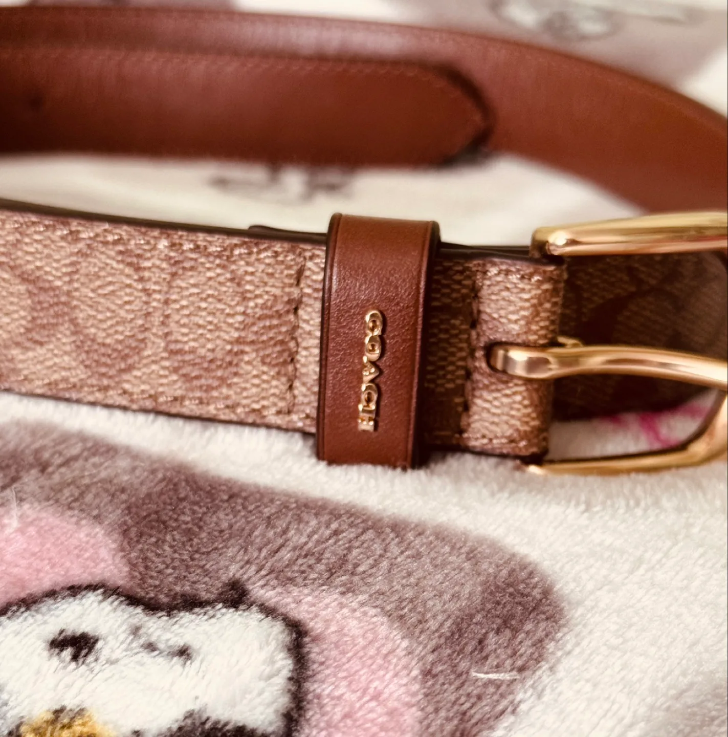 Coach Brown Signature Canvas Belt thumbnail