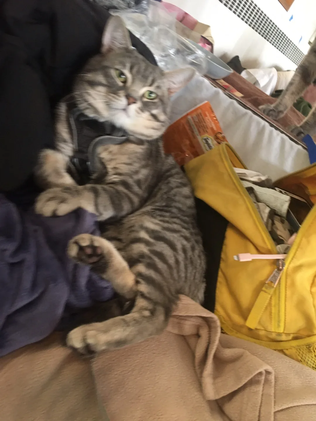 ⛺️living outside⛺️outdoor supplies image indicator(5)