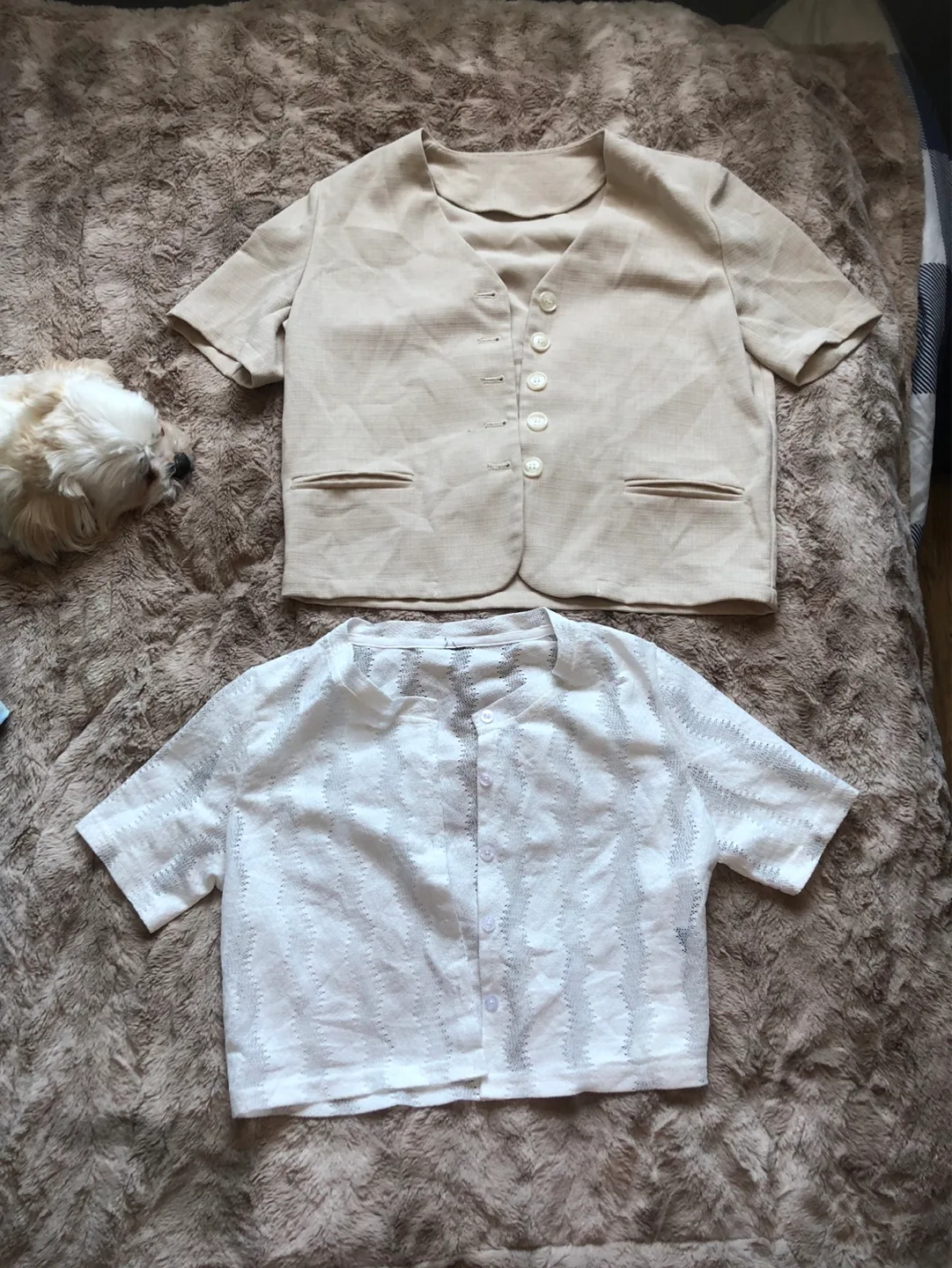 20 clothing bundle for 20$ image indicator(5)