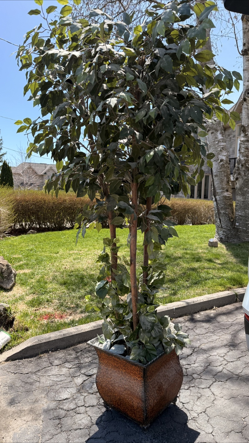 Large Artificial Ficus Tree in Decorative Planter - photo 4