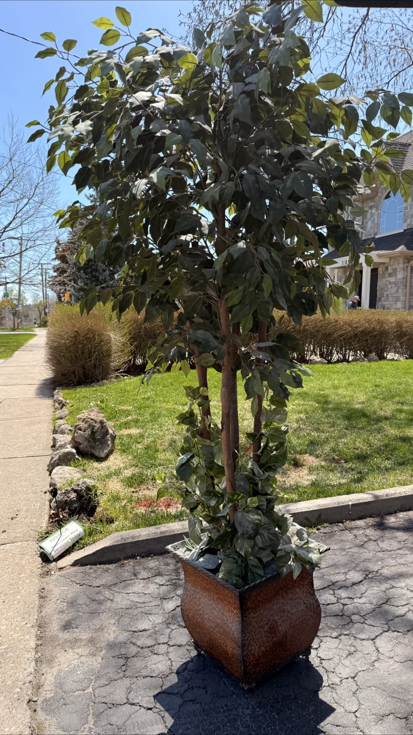 Large Artificial Ficus Tree in Decorative Planter